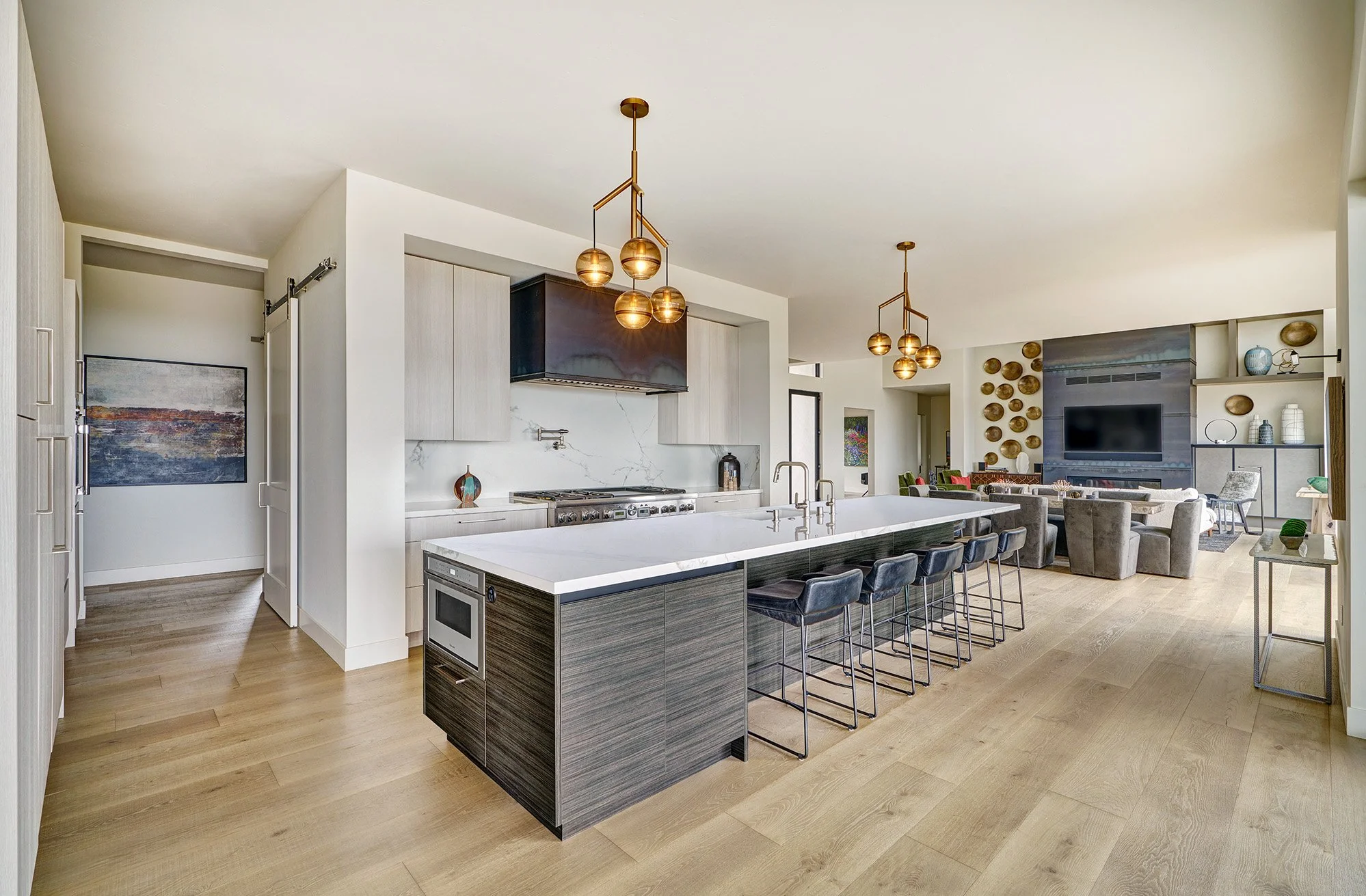 Modern new construction home, European laminate cabinetry, large open kitchen, tall appliance wall, hot rolled steel hood